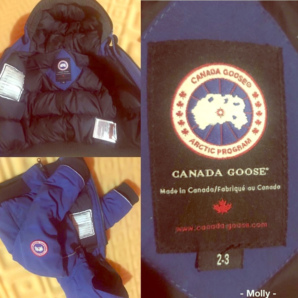 Canadian Goose For Kids